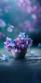 We did not find results for: Purple Blue Flower Wallpapers Wallpaper Cave