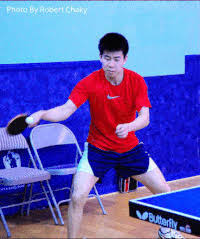 Search tennisgifs + player name to find our gifs. Table Tennis Gifs Get The Best Gif On Gifer
