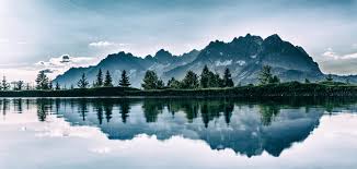 Download and use 30,000+ 4k wallpaper stock photos for free. Kostenloses Foto Zum Thema 4k Hintergrund 4k Wallpaper Baume