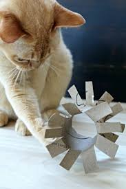 Katzenspielzeug Selber Machen Fantastische Ideen Fur Katzenliebhaber In 2020 Katzen Spielzeug Katzenspielzeug Katzen Spielzeug Basteln