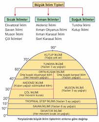 Tundra kelimesi, ağaçsız toprak anlamına gelen fince tuntüri kelimesinden gelir. Buyuk Iklim Tipleri Erhananadol Com