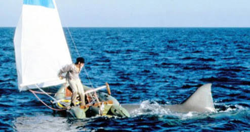 Jaws 2 - Film | Park Circus