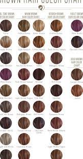 Pin By Celeste On Color Swatches Brown Hair Color Chart Brown Hair Colors Hair Color Chart