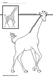 Site Maternelle Gs Et Ms Les Taches De La Girafe Animaux Du Zoo Animaux Afrique Girafe