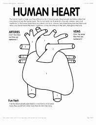 Princeton review anatomy coloring workbook. 76 Luxury Photography Of Anatomy And Physiology Coloring Book Pdf Anatomy Coloring Book Heart Coloring Pages Heart For Kids