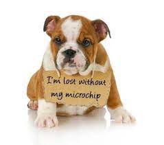 Call the phone number and update your information now. Microchip Registration Where To Register Your Pet S Microchip Number