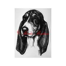 Image result for bernský honič