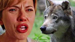 Scarlett Johansson und Adam Driver lieferten sich vor 6 Jahren einen  legendären Ehestreit - der wird jetzt benutzt, um Wölfe zu verjagen