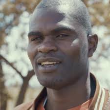 We're saving elephants with the help of bees · Mission 10 · Planet Wild