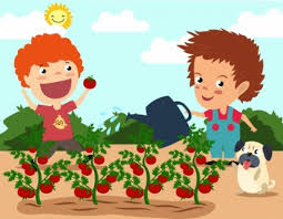 Gambar buah tomat segar link. Buah Buahan Yang Tumbuh Tema Tomat Pohon Anak Ikon Grow Fruit Cartoon 600x466 Download Hd Wallpaper Wallpapertip
