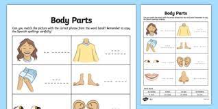 Free math worksheets, math games, online quizzes, video lessons and ebooks downloads for learning and teaching kindergarten, preschool,1st to 6th grade. Spanish My Body Body Parts Worksheet