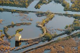 Camargue Gardoise Connaitre Les Meandres Camarguais Objectif Gard