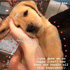 Pin By Thorn On ᴍᴇᴍᴇ S Love Memes Cute Love Memes Flirty Memes