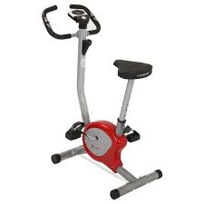Best spin bike brands in india. Best Indoor Cardio And Exercise Cycle In India Business Insider India