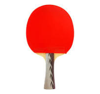 The Top 10 Ping Pong Rackets For Beginners (2026) - Racket ...