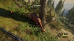 Expansive worlds video game publisher: Crazy Deer Glitches In Thehunter Call Of The Wild Ps4 Gameplay