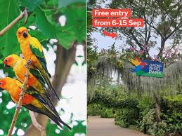 Wonderful birds to see especially unusual breeds worth seeing, but maybe not in captivity, however they were well taken care of. Jurong Bird Park Is Free For S Poreans This Sep Holidays So You Can Bring The Kiddos For An Adventure
