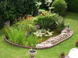 patrick bassin d agrement audincourt bassin de jardin jardin d eau bassin poisson exterieur