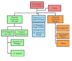 49 Unusual Organizational Chart Of A Retail Company