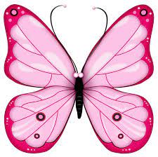 Pink Transparent Butterfly Clipart Butterfly Clip Art Free Clip Art Butterfly Art