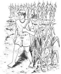 Don't forget to bookmark gambar sketsa petani di sawah using ctrl + d (pc) or command + d cara menggambar pemandangan petani sawah untuk anak sd. Petani 20 Tanaduri