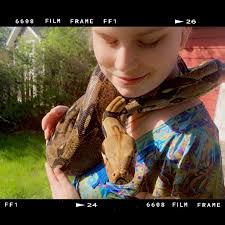 Will changing substrate stress bearded dragon during shed?