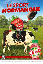 Oasis France Normandie Oasis Sports Marketing And Advertising