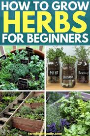 A Basic Herb Garden Herb Gardening For Beginners Farmfoodfamily Herb Garden Pots Herb Garden Design Gardening For Beginners