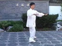 Tai Chi Grand Enchainement 103 Yang Yang Jun Tutorial Youtube Tai Chi Arts Martiaux Martial