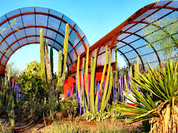 June Botanical Gardens Desert Botanical Garden