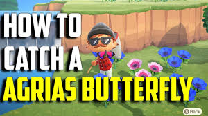 Maybe you would like to learn more about one of these? How To Catch Agrias Butterfly In Animal Crossing New Horizons