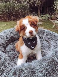 Check spelling or type a new query. Fa3kd9s3jidqmm