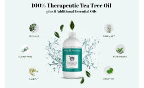 There are several ways to dilute oil that will be used for ringworm infections. Amazon Com Antifungal Tea Tree Oil Body Wash Helps Athletes Foot Ringworm Toenail Fungus Jock Itch Acne Yeast Infections Eczema Body Odor Soothes Itching Promotes Healthy Feet Skin And Nails