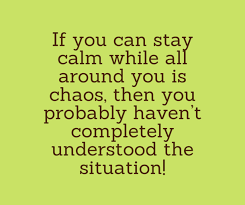 In order to form an immaculate member of a flock of sheep one must, above all, be a sheep. 10 Funny Sarcastic And Snappy Quotes Of The Day