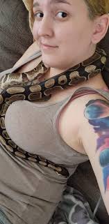 Anyone know what type of snake this is? Update its a Ball python.