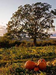 17 New Hampshire Ideas New Hampshire Hampshire Granite State