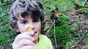 Von Walddüften, Waldzwergen und Wald-Rauch