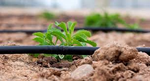 Saudi Drip Irrigation Co. Ltd. | Mayar Holding