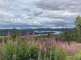 Novasol hat sich seit den späten 60er jahren bis heute eine einzigartige palette an ferienhäuser in schweden im norden geschaffen. Gavleborg Schweden Beste Route Aussicht Alltrails