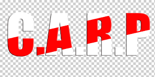 Seeking more png image river png,white plate png,dinner plate png? Club Atletico River Plate Letter Logo La Liga Font Letra C Computer Network Text Logo Png Klipartz