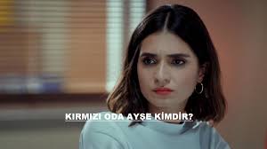 Milliyet'ten umut ünver'in haberine göre; Kirmizi Oda Ayse Kimdir Gercek Adi Nedir Meric Aral Sevgilisi Kim Oynadigi Diziler Hangileri Full Afk