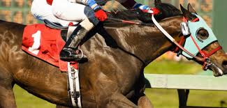 Through our app you can view our picks for each race, see our daily best bets and view our entire past history of tipsheets and results. Can A New Subsidy Bill Save New Jersey S Horse Racing Industry