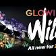 Glowing Wild Lantern Festival at Turtle Bay