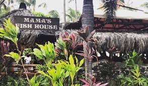 We did not find results for: Closure Update Mama S Will Remain Mama S Fish House Facebook