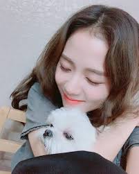 Who is your favorite pet from PETPINK (BLACKPINK's pets)?