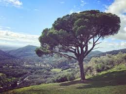 Nos Vamos De Sendero Por Alajar Sierra De Huelva Aprovechando Que Hoy No Hace Mucho Frio In 2020 River Outdoor Water
