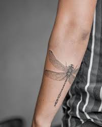 Because of this, in egyptian culture the lotus is a symbol of life's beginning and reincarnation. Top 30 Dragonfly Tattoo Design Ideas 2021 Updated Saved Tattoo