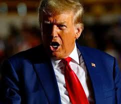 BREAKING: Donald Trump flies into panic mode as Americans become aware of  Project 2025 — the Republican Party's blueprint for a fascist America if he  wins the White House. Trump's in full