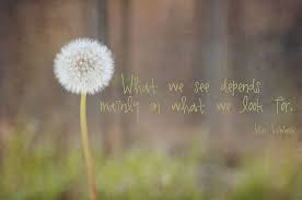 Dandelion Dandelion Tattoo Quote Dandelion Quotes Flower Quotes