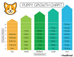 Puppy Growth Chart The Simplest Way To Figure Out Your